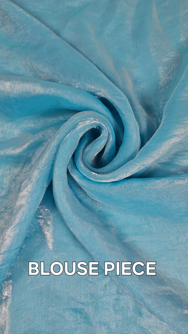 Zariya-1 bottom and 2 pallu saree (2 Looks)