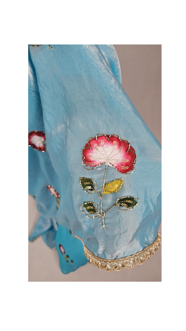 Zariya-1 bottom and 2 pallu saree (2 Looks)